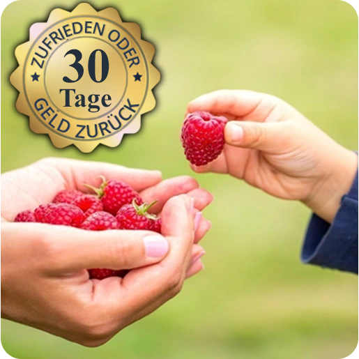 rotebeeren